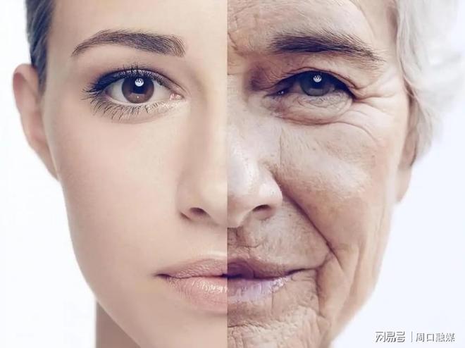 九游娱乐：2025年NMN抗衰市场全面洗牌权威排行榜揭晓!