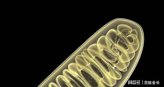 富豪抗衰老手段多样换血、冻尸等年耗200万只为年轻5岁(图7)