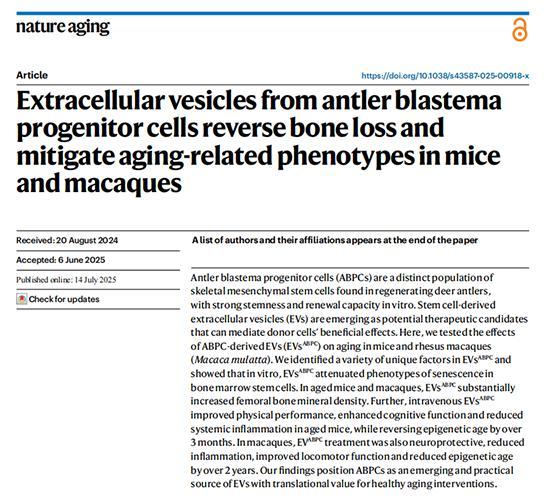 《自然衰老》发表中国科学家团队主导研究首次揭示鹿茸干细胞外囊