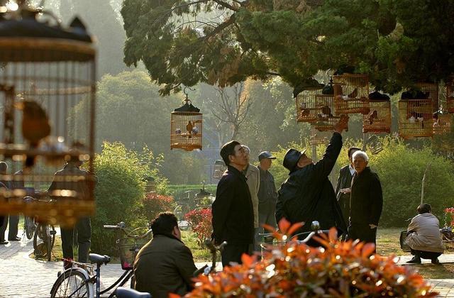 九游娱乐文化：岁月淬炼的生命复利：八子补肾如何书写“健康寿命”新篇(图2)