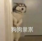 百人团队面临裁撤！谷歌124亿“抗衰老”计划重创(图12)