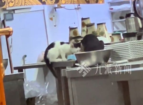 九游娱乐文化:3000多人被养生骗走5亿元天价“抗衰药”竟只是维C!丨天天315(图4)